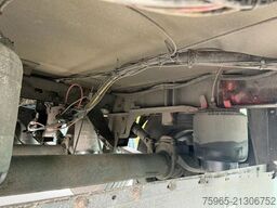 SCHMITZ CARGOBULL SKO 24 THERMO KING SL 400-e FLOWERWIDE HOLLAND-T