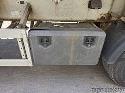 REISCH Getreidekipper ca. 47 cbm, Kombi-Pendel-Klappe