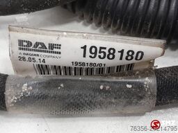 Daf Occ koplampkabelboom DAF