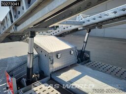 EROGLU NEW SAF Truck/Car Transport