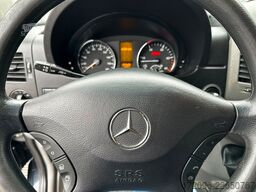 MERCEDES-BENZ Sprinter 519cdi Carrier 2-Zonen Kühlung, Klima