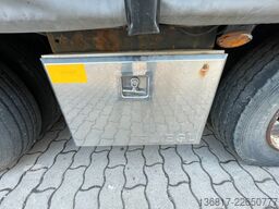 FLIEGL SDS410 Tieflader Gardine Jumbo Plane Lenkachse