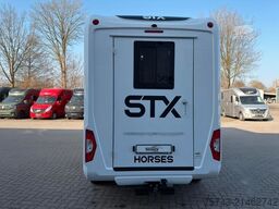 FORD Transit STX Haras  NEW MODELL. AUTOMATIK