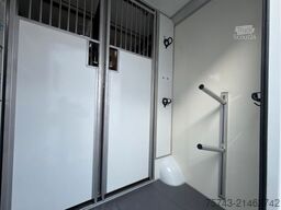 FORD Transit STX Haras  NEW MODELL. AUTOMATIK