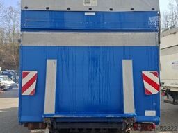 MAN 10.163 Plane Spriegel Seitengardine 5 T Nutzlast