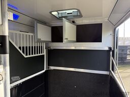 Horsetruck Renault Master / Equita Paardenwagen  Horsetruck Hengsten uitv