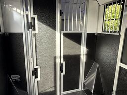 Horsetruck Renault Master / Equita Paardenwagen  Horsetruck Hengsten uitv