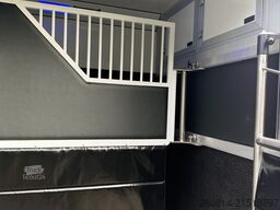 Horsetruck Renault Master / Equita Paardenwagen  Horsetruck Hengsten uitv