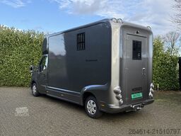 Horsetruck Renault Master / Equita Paardenwagen  Horsetruck Hengsten uitv