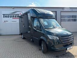 MERCEDES-BENZ STX Sprinter  GG 4,100KG  Haras Hengste
