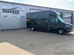 MERCEDES-BENZ STX Sprinter  GG 4,100KG  Haras Hengste