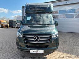 MERCEDES-BENZ STX Sprinter  GG 4,100KG  Haras Hengste