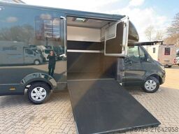 MERCEDES-BENZ STX Sprinter  GG 4,100KG  Haras Hengste