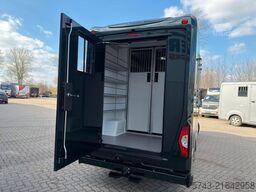 MERCEDES-BENZ STX Sprinter  GG 4,100KG  Haras Hengste