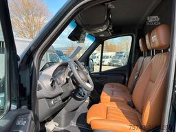MERCEDES-BENZ STX Sprinter  GG 4,100KG  Haras Hengste