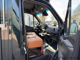 MERCEDES-BENZ STX Sprinter  GG 4,100KG  Haras Hengste