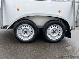 Böckmann Champion C Pferdeanhänger