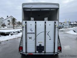 Böckmann Champion C Pferdeanhänger