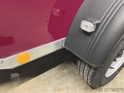 Böckmann Comfort Neu Pferdeanhänger