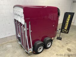 Böckmann Comfort Neu Pferdeanhänger