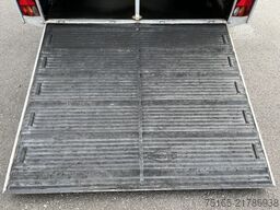 Böckmann Big Champion R - WCF Pferdeanhänger