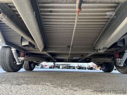 Böckmann Big Champion R - WCF Pferdeanhänger