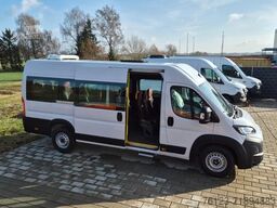 FIAT 1x Ducato 1x Opel Movano 18 SS in Stock