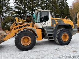 LIEBHERR L 576 2plus2 Wagge Top