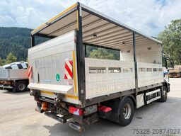 MAN TGM 15.250 ADR Pritsche Ladebordwand