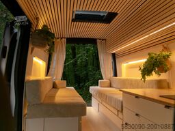 Camper Van ZAZU Road Birds Ford Transit Trend Heckantrieb