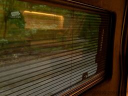 Camper Van ZAZU Road Birds Ford Transit Trend Heckantrieb