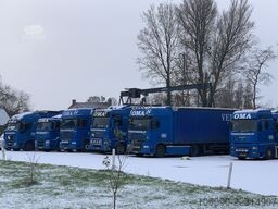 DAF FT XF105