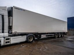 SERRUS CARRIER VECTOR 1850