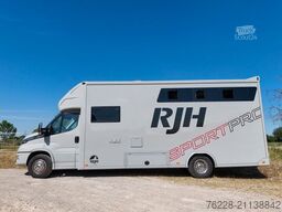 IVECO Pferdetransporter