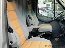 Westfalia James cook