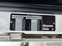 DAF XF 480 FT SSC / 591 dkm / Euro 6 D / 2 Tanks / ...