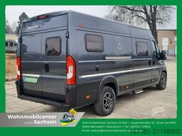 DREAMER Select D62 Saphir