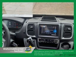 DREAMER Select D62 Saphir