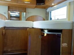 CARTHAGO chic c-line I 4.9