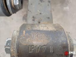 Daf Occ set bladveren vooras DAF