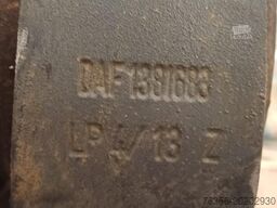 Daf Occ set bladveren vooras DAF