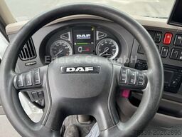 DAF LF 260, 16 t GG, LBW, Tiefkühler, Carrier 850