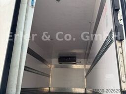 DAF LF 260, 16 t GG, LBW, Tiefkühler, Carrier 850