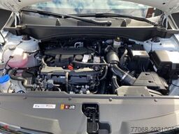 Kia Sportage GT-Line 4WD 1.6 T-GDI Mild-Hybrid EU6e *FAHRSCHULUMBAU* *360°KAMERA*
