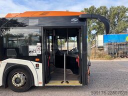 Solaris Urbino