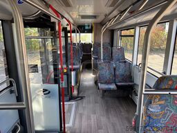 Solaris Urbino