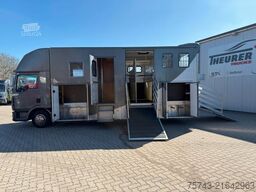 MAN 8180 TGL    3-4 Pferde