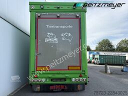 SAV 34 3/83/3 Stock, Hubdach,Rampe,Tränke,Funk
