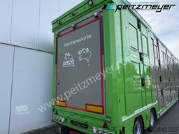 SAV 34 3/83/3 Stock, Hubdach,Rampe,Tränke,Funk