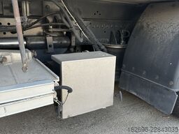 Renault 220 DXi